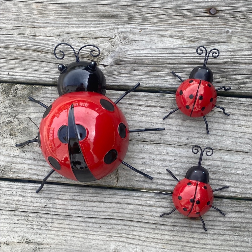 Charming Red and Black Ladybug Wall Decor Set
